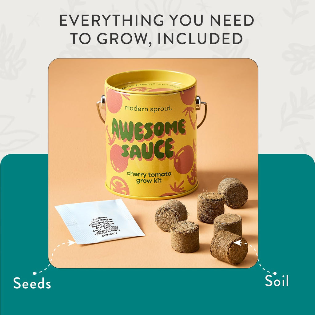 Modern Sprout Complimentary Color Grow Kits - Seed Starter Kit, Pack of 4 | Includes Organic Strawberry, Tomato