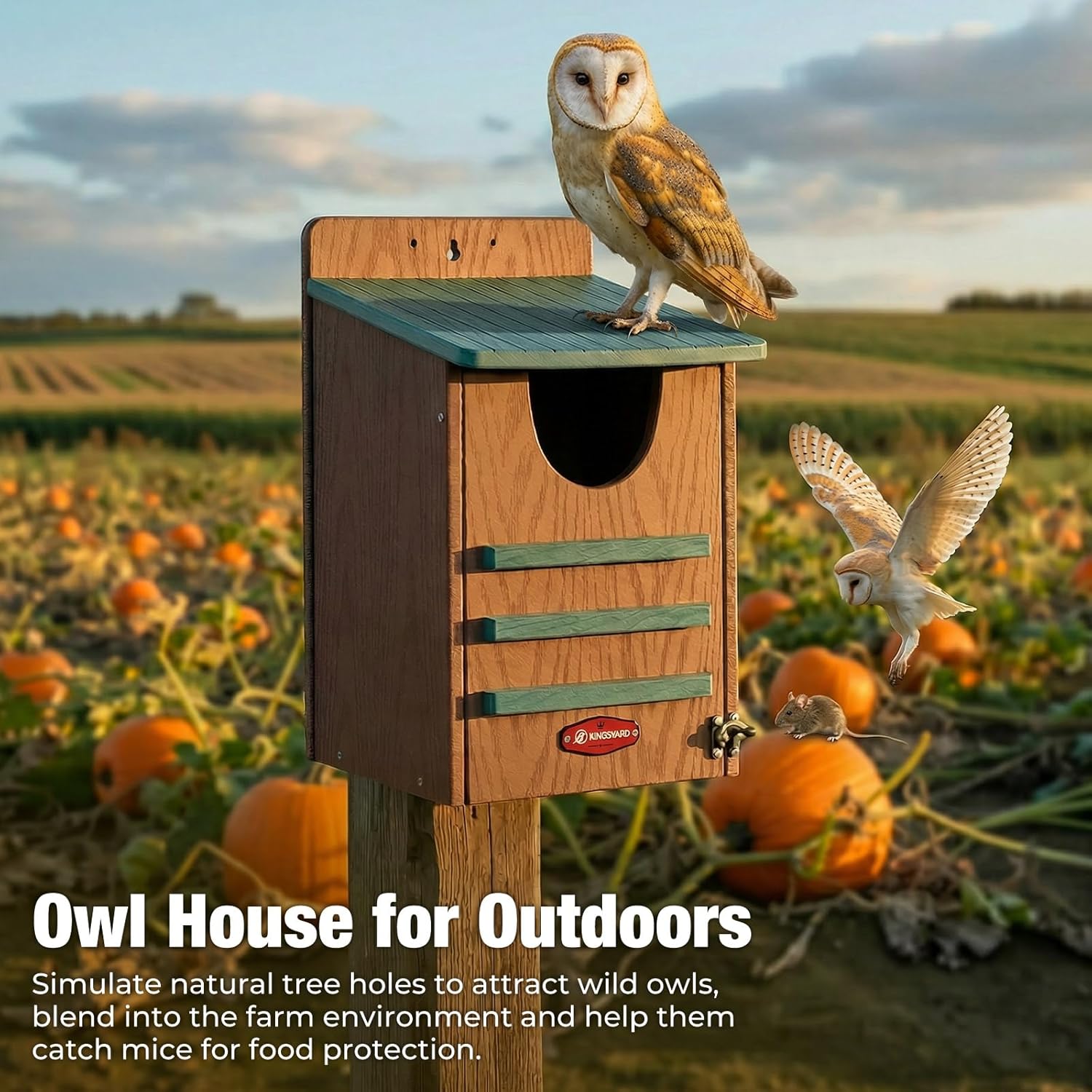 Kingsyard Large Recycled Plastic Wooden Owl House, Waterproof Screech Owl Bird Boxes for Outside, Owl Nesting Box Kit