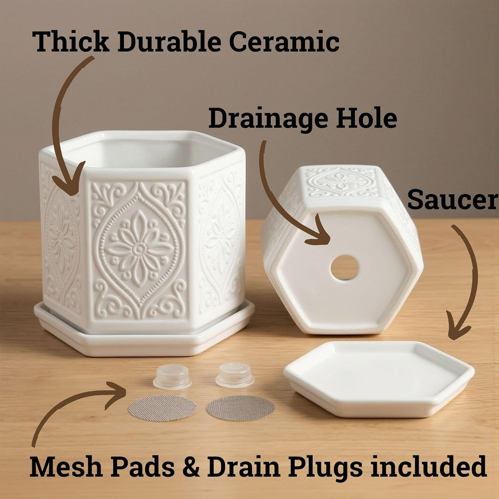 Ceramic Pots for Plants Set of 2, 6-Inch & 4-Inch Wide w/ Drainage & Saucer | Thick Durable Ceramic Pots with Matching