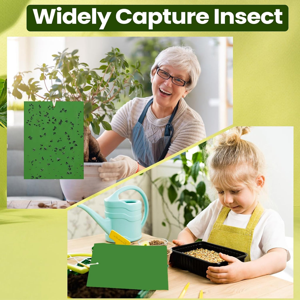 Qualirey 50 Pcs Yellow Sticky Traps 6x8in for Gnats Indoor | Dual-sided for Fungus Gnats Fruit Flies Whiteflies Thrips