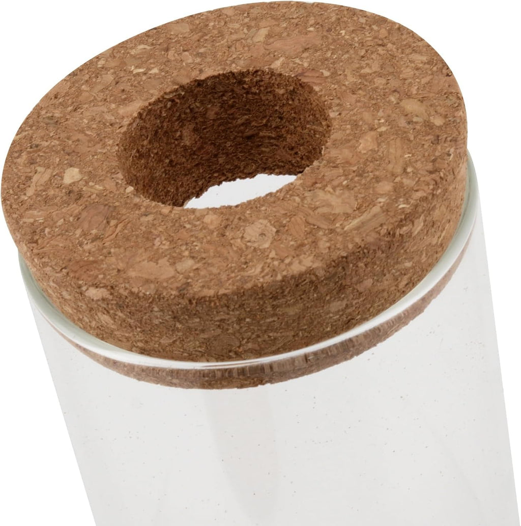 HOZEON 8 PCS Glass Planter Vase, Desktop Plant Terrarium, Tabletop Propagation Station Hydroponic Glass Planter for