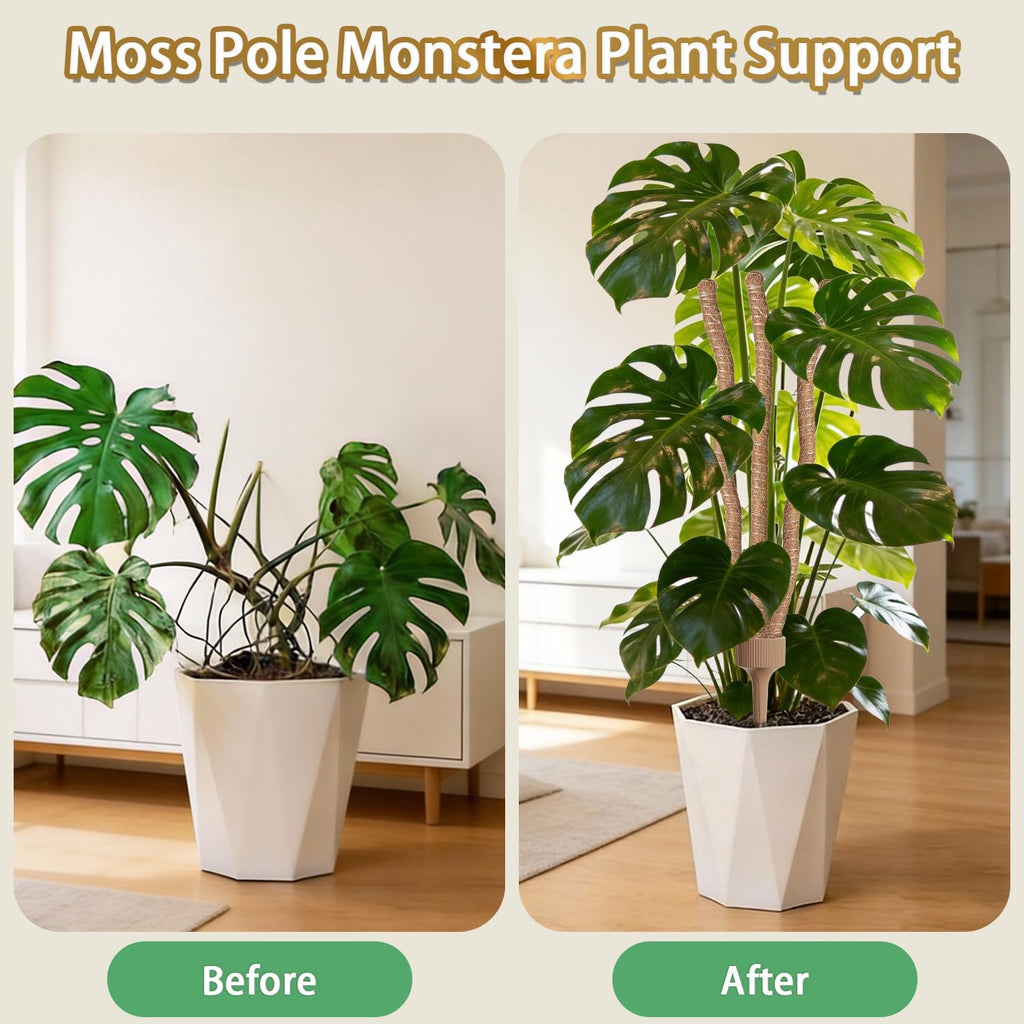 3 Moss Poles in 1, 30IN Tall Bendable Monstera Plant Support-2 Pack | 3 Integrated Coir Pole for Indoor Plants, Moss