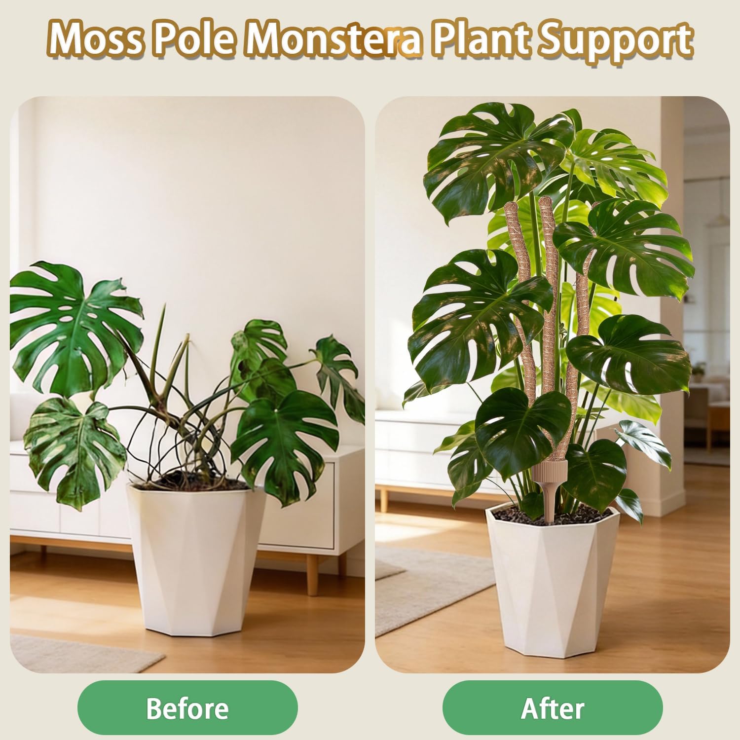 3 Moss Poles in 1, 30IN Tall Bendable Monstera Plant Support-2 Pack | 3 Integrated Coir Pole for Indoor Plants, Moss