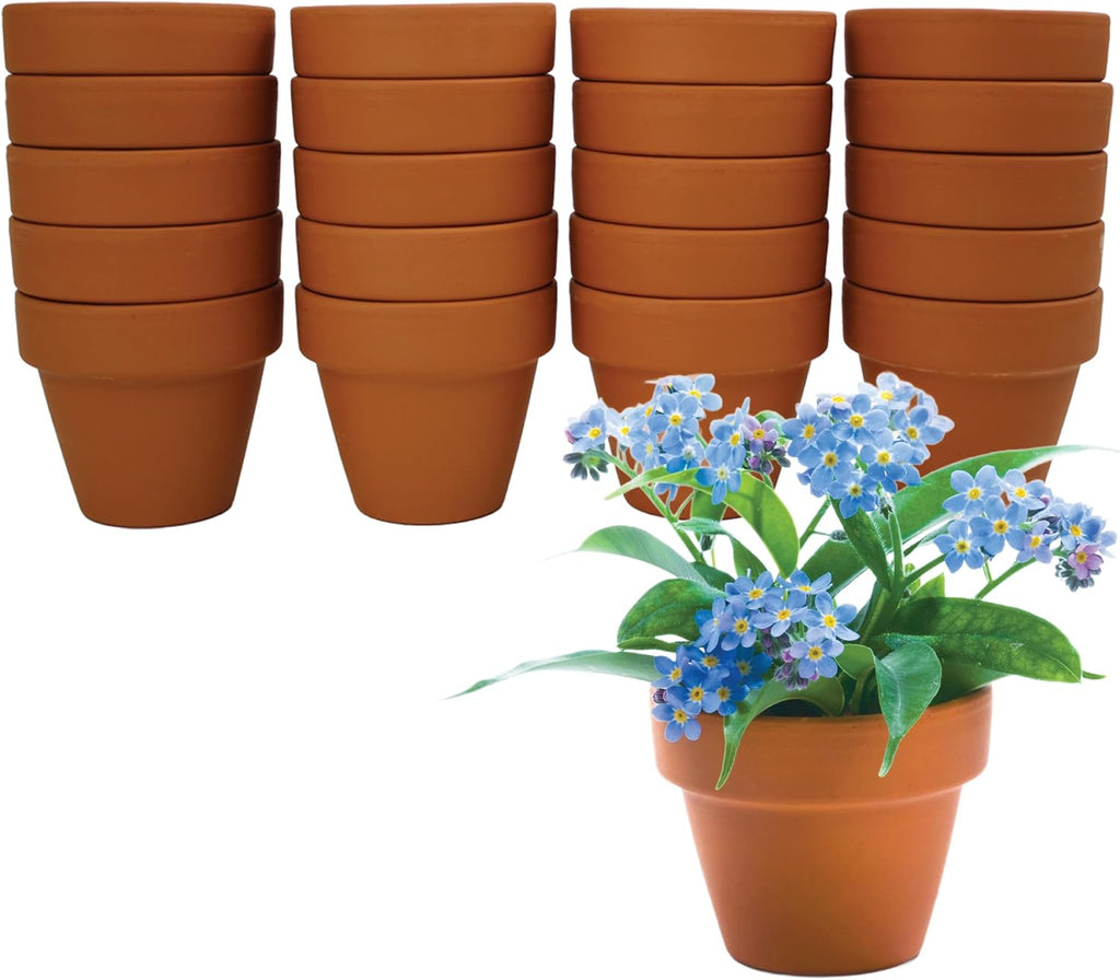 BUZZY Seeds Forget-Me-Not Grow Kit, Bulk 20-Pack - Mini Terracotta Pot Grow Set - Complete Indoor/Outdoor Gardening Kit