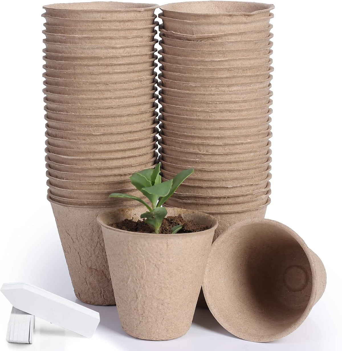 RooTrimmer Transparent Nursery Pots 4Inch with Humidity Domes for Seeds Starting, Clear Plastic Plant Pots with Drainage Holes (4Inch, 30Pcs,Clear Pots with Lids)