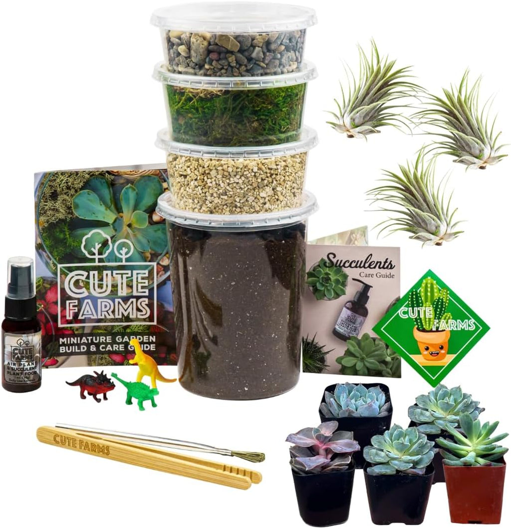 Cute Farms Terrarium Starter Kit | Moss, Vermiculite, Soil, Pebbles, Plant Food, & Finishing Tools (Large + 8 Live