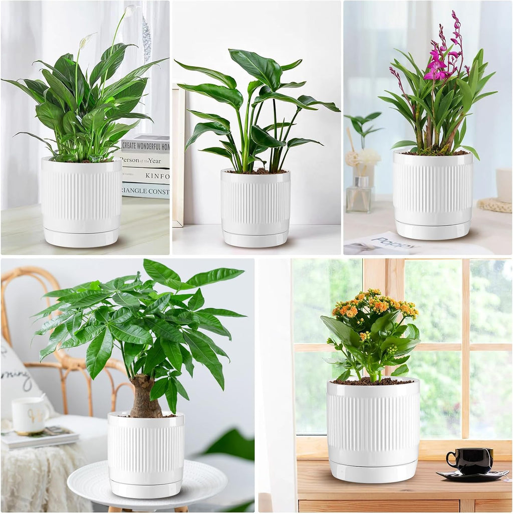 Vanavazon 6 Inch Glazed Ceramic Plant Pots with Drainage Hole and Saucer, Cylinder Indoor Planters for All House
