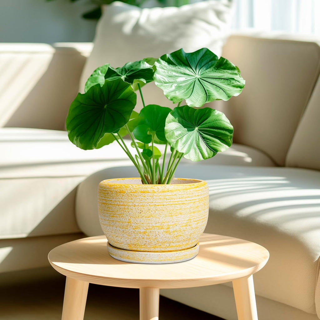 SQOWL Ceramic Flower Pots - 8 inch Plant Pot Indoor with Drainage Hole and Saucer, Modern Ceramic Planter Outdoor