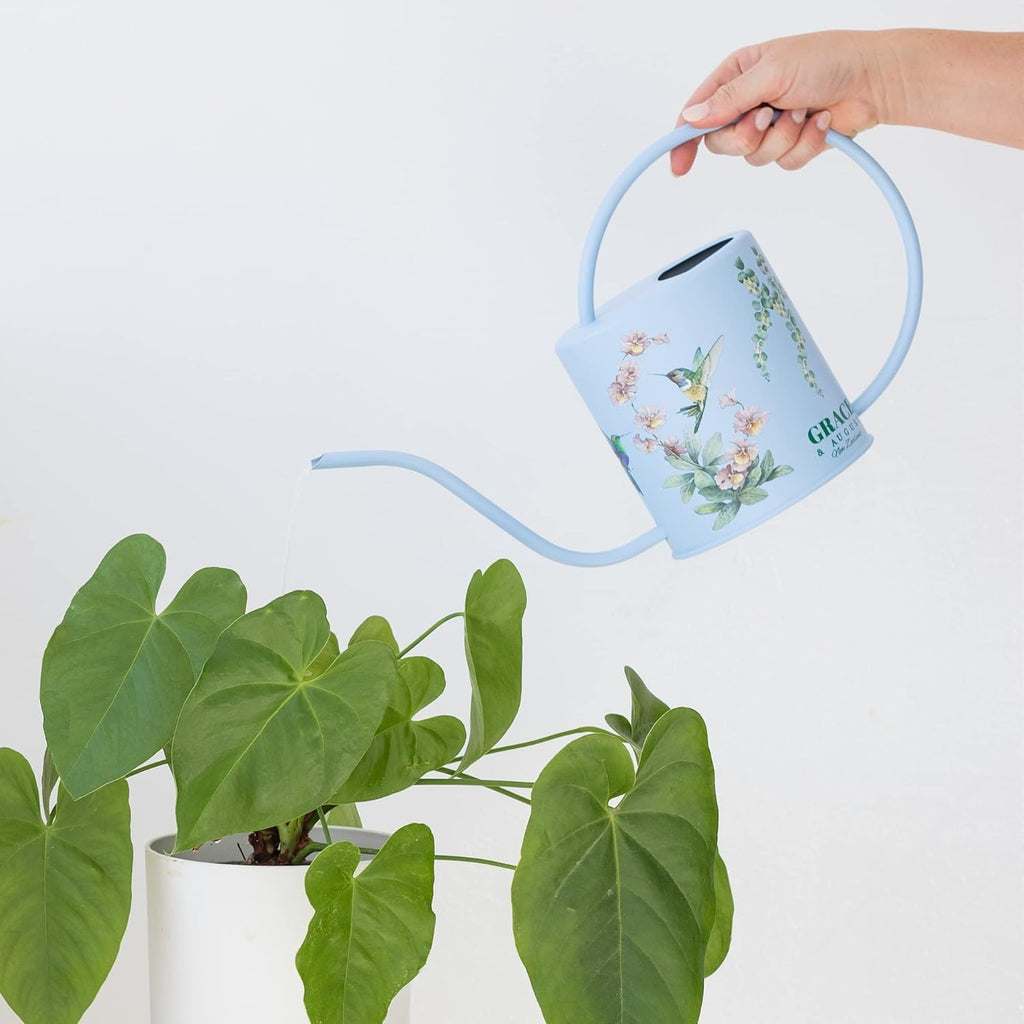 Indoor Watering Can & Mist Spray Bottle Set for Indoor Plants - Decorative | Gooseneck Long Spout, Stainless Steel