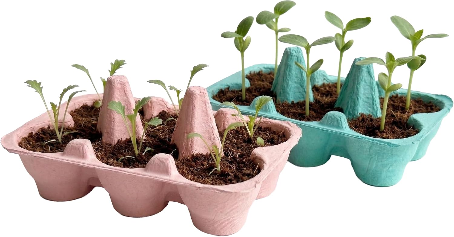 Buzzy Seeds Flower Starter Kit 2-Pack - Egg Carton Eco-Friendly Pots - Complete Indoor Gardening Kit with Seeds