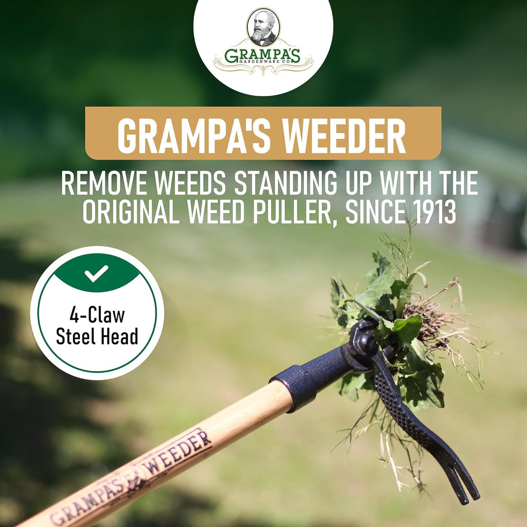 Grampa's Weeder Original Stand Up Weed Puller Tool with Bamboo Long Handle | 4-Claw Steel Head • Weeding Tool • Weed