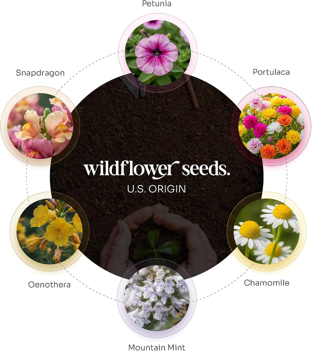 24-Count Plantable 3D Heart Wildflower Seed Bomb Favors | Includes cards and double-sided tape; ideal for birthdays
