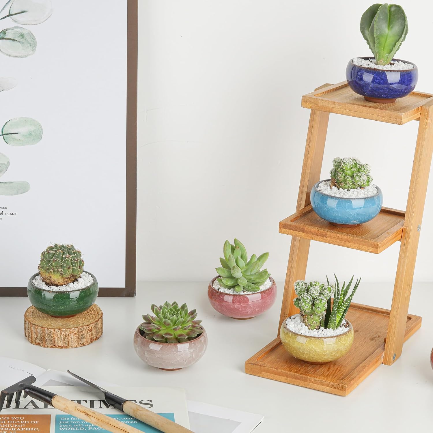 T4U 2.5 Inch Small Ceramic Succulent Planter Pot with Drainage Hole Set of 12, Ice Crack Glaze Plant Container for