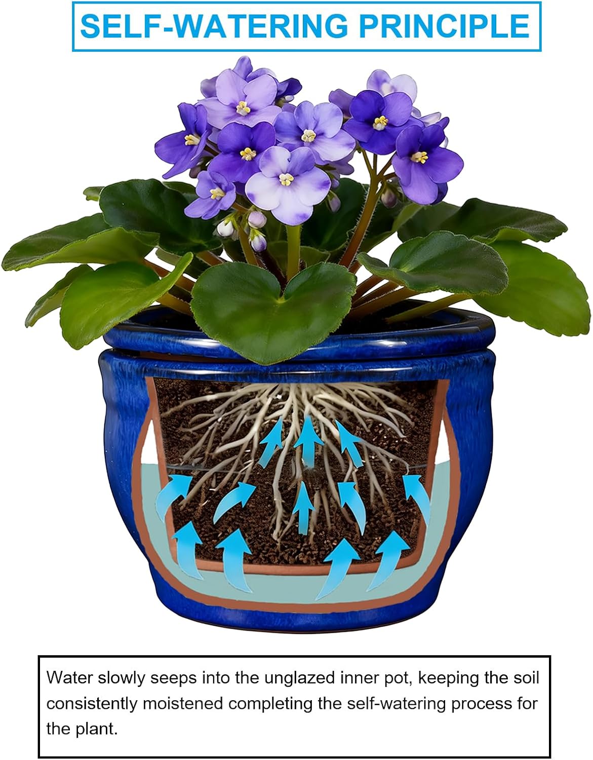 Self Watering Pot for African Violets Indoor Outdoor Plants, 6 inch, Blue | Bottom Watering, Ceramic