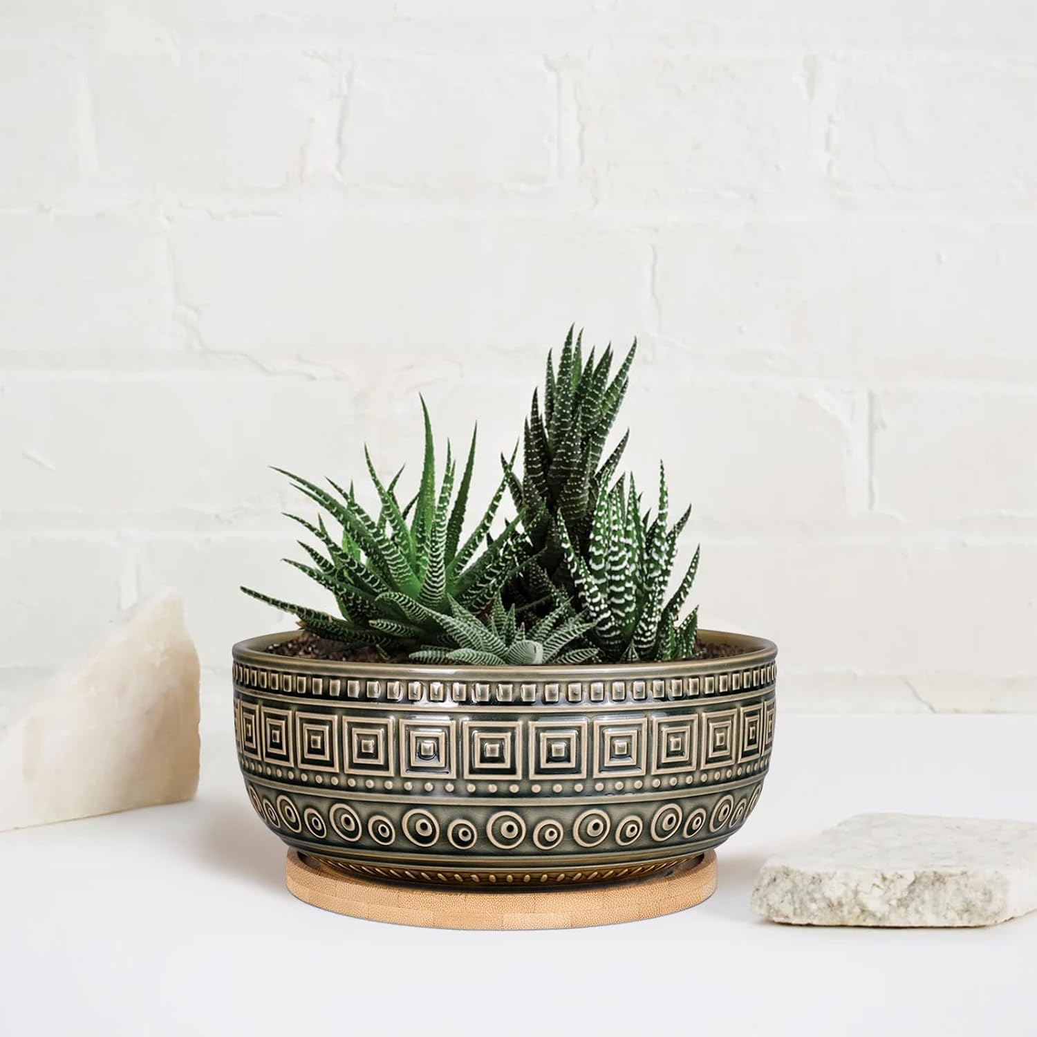 G EPGardening 8 Inch Ceramic Succulent Planter Pots Round Shallow Bonsai Planter Pot for Indoor Plants with Drainage