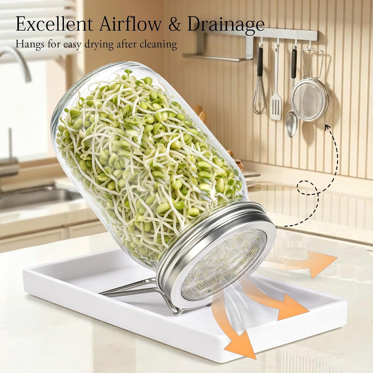 SheeChung 2 Pack Sprouting Jar Kit with Stainless Steel Sprouting Lids | 32 Oz Wide Mouth Mason Jars Sprouting Kit with