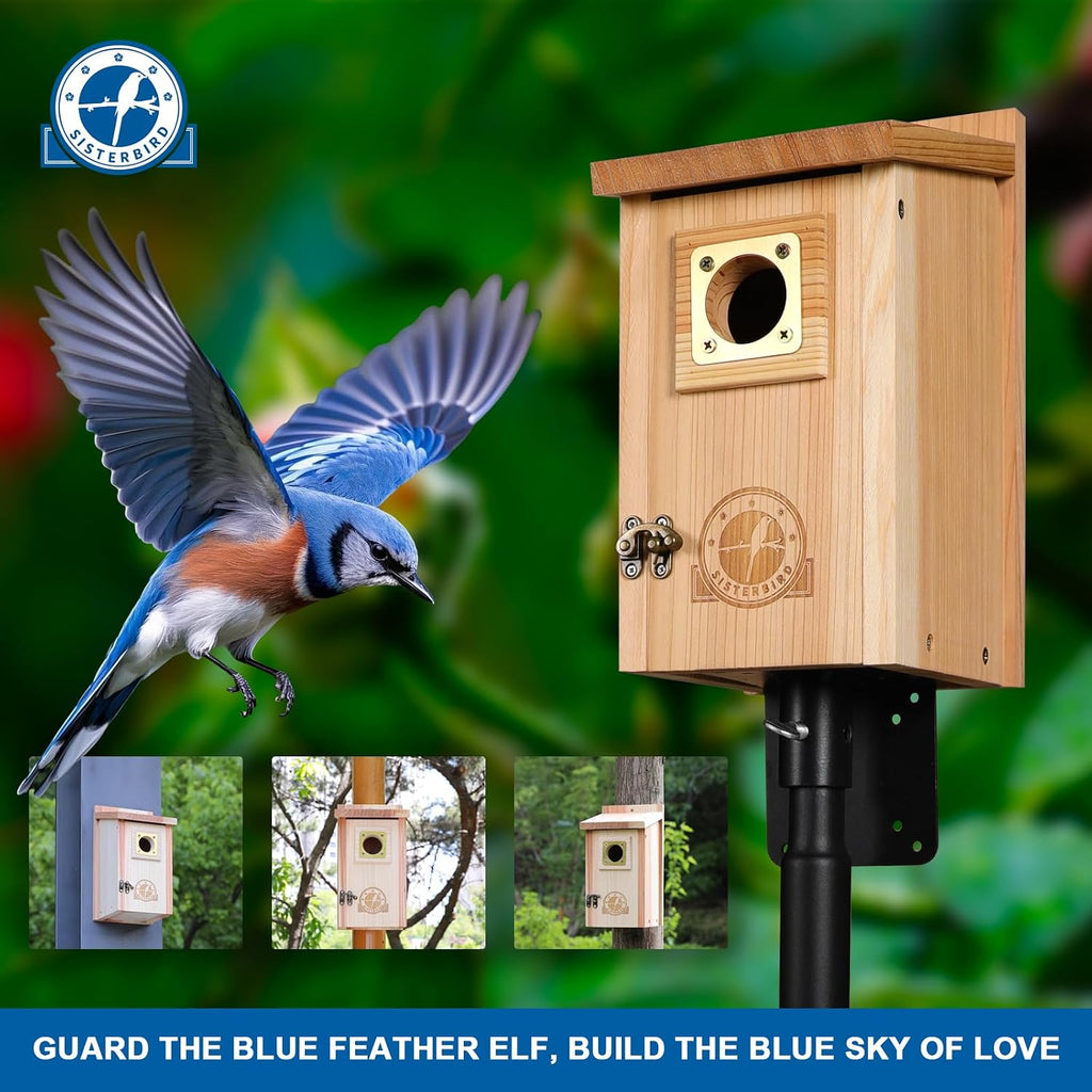 SISTERBIRD Bird Houses for Outside Clearance with Copper Guard, Cedar Bird House Outdoor, Bluebird Finch Swallow Wren