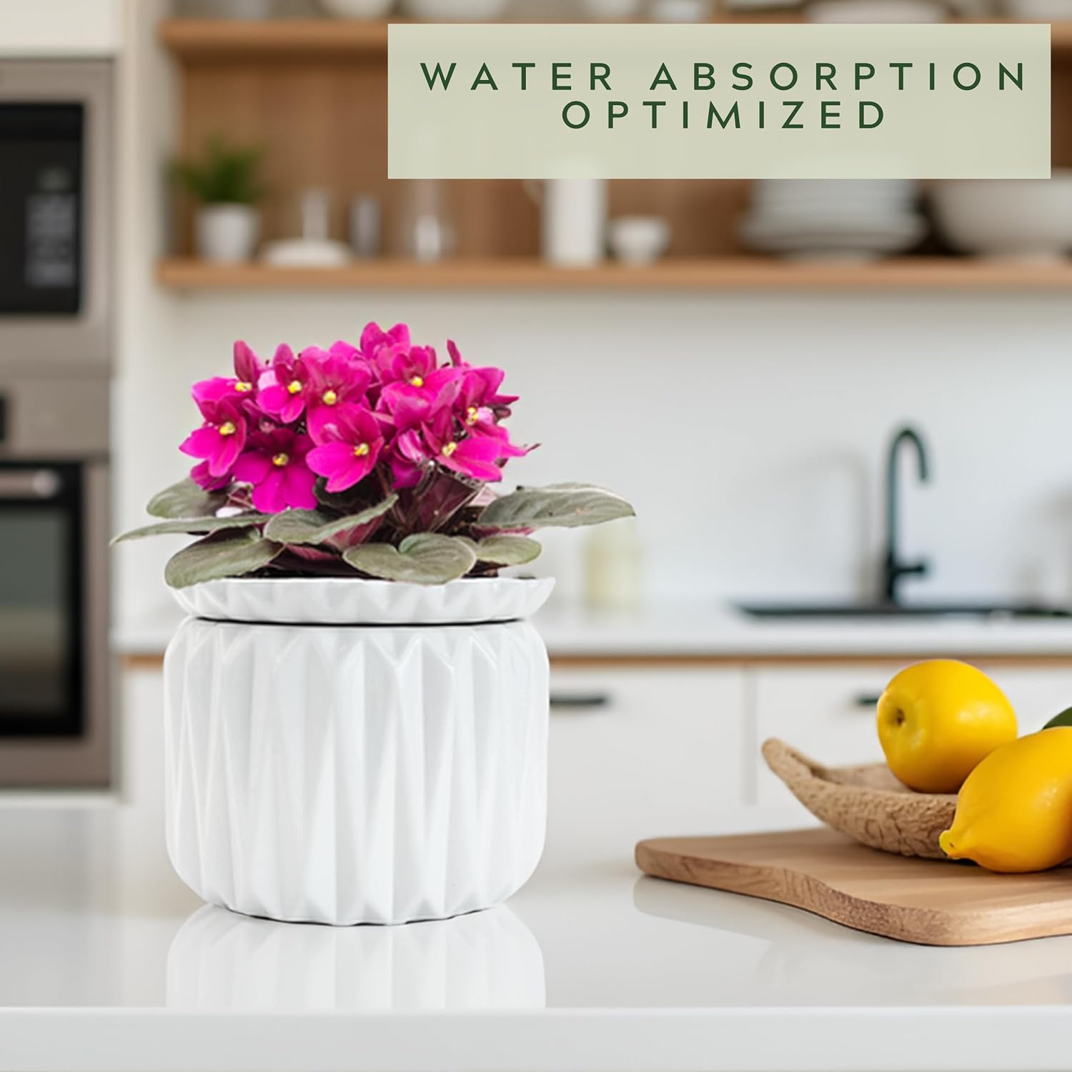 6 Inch African Violet Pots Self Watering, Ceramic Planter with Water Reservoir and Fill Lines, 4 Inch Opening, Indoor