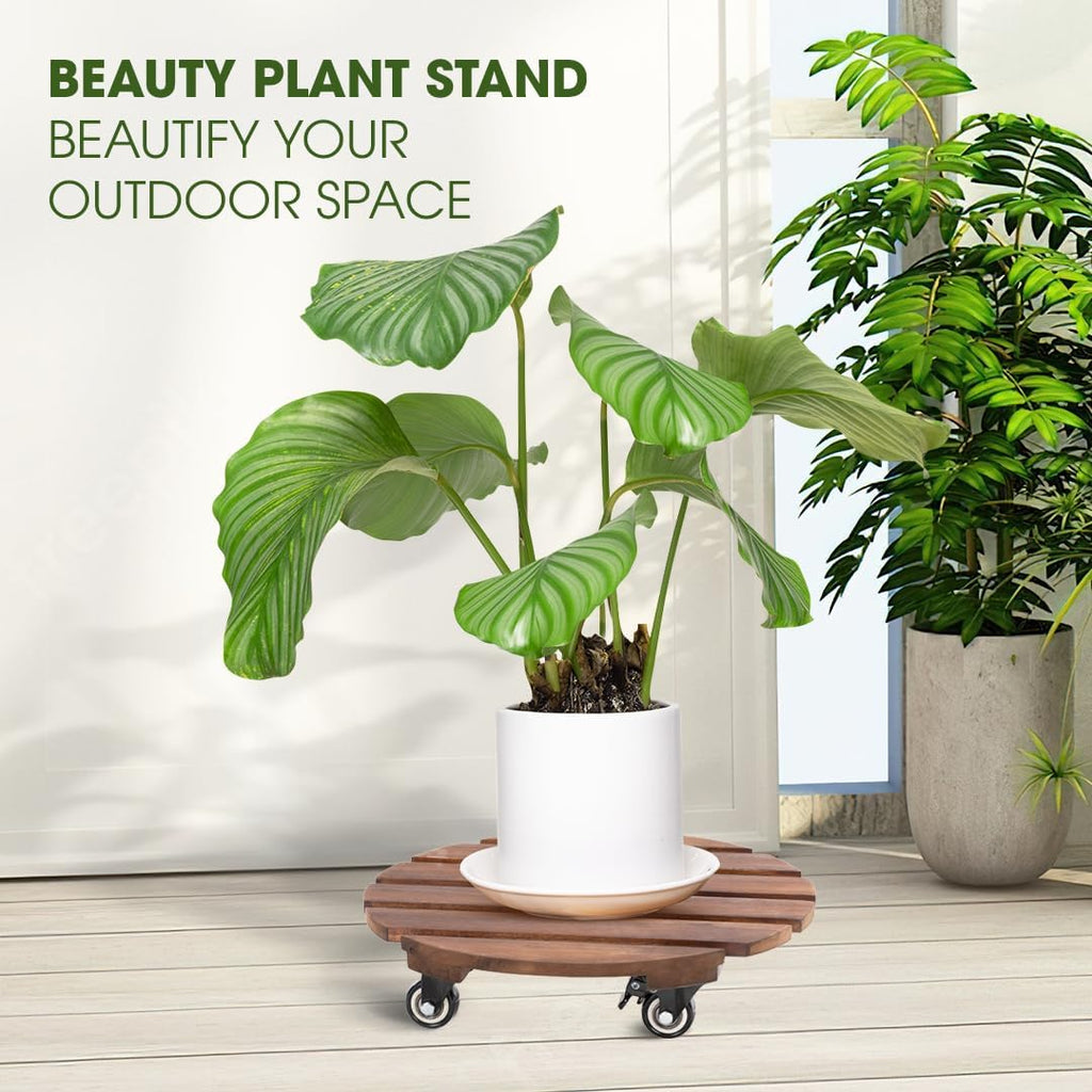 2-Pack 14 Inch Acacia Wood Plant Caddy with Wheels – Heavy-Duty Plant Dolly with 264 Lbs Capacity, 360° Lockable Wheels