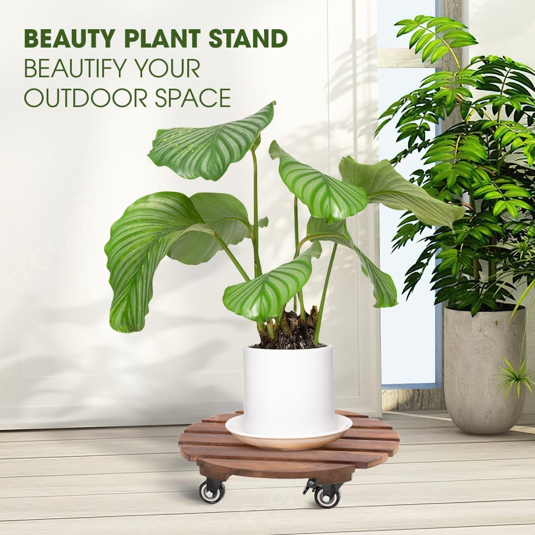2-Pack 14 Inch Acacia Wood Plant Caddy with Wheels – Heavy-Duty Plant Dolly with 264 Lbs Capacity, 360° Lockable Wheels