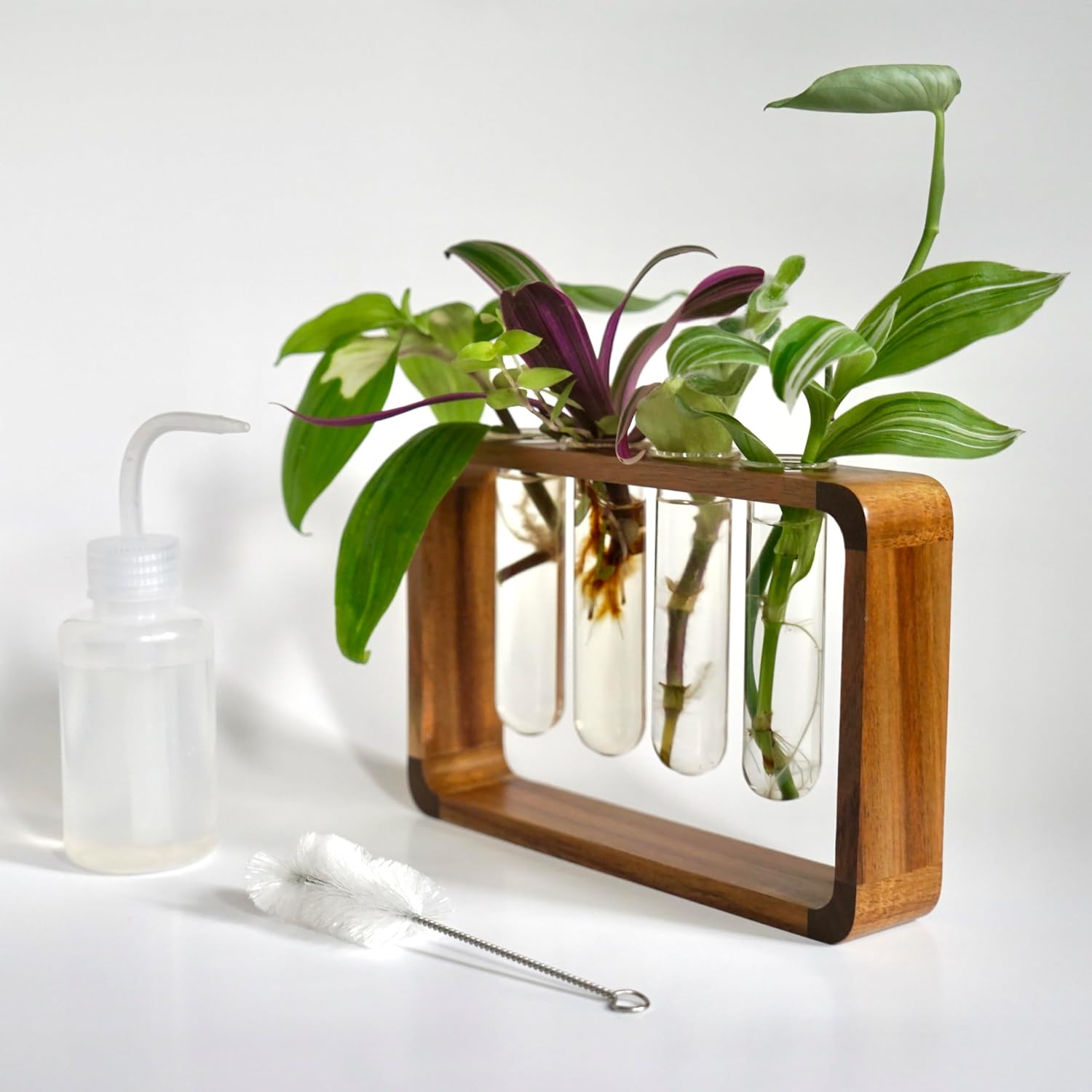 Source & Plot Plant Propagation Station - Acacia Wood Stand with 4 Glass Test Tubes, Tabletop Hydroponic Terrarium