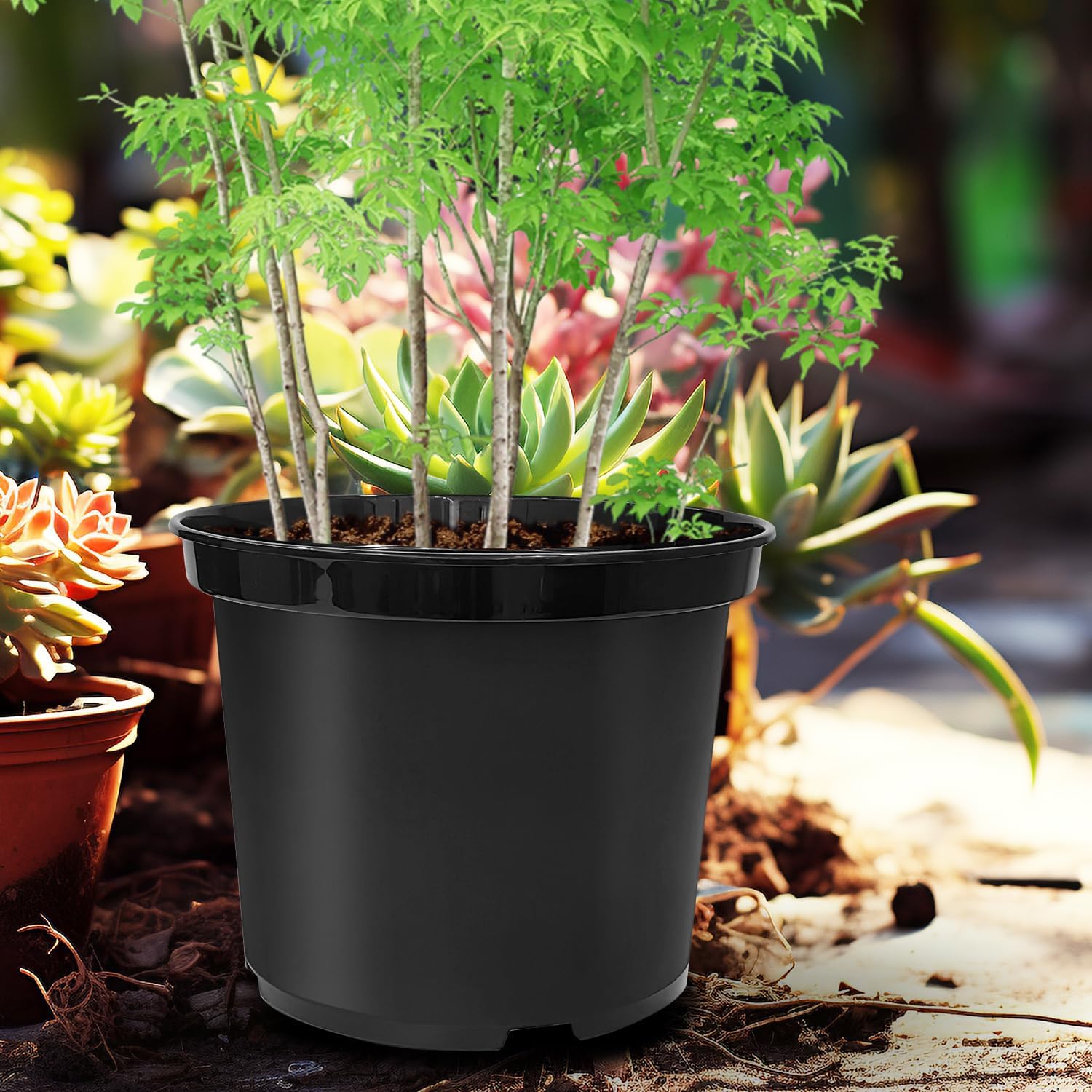 RooTrimmer 5 Gallon 12 Inch Plastic Nursery Pots, Plant Containers with Drainage Holes, Round Sturdy Garden Planters