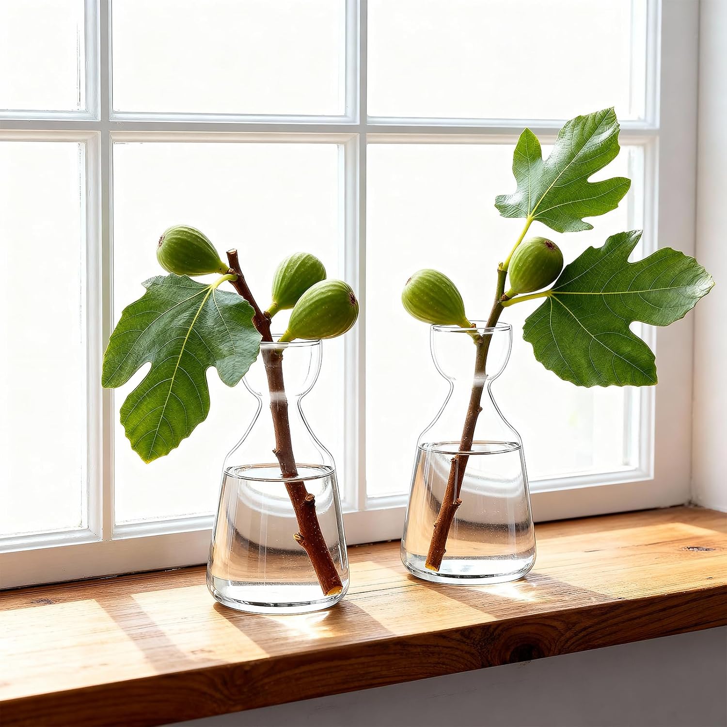 Glass Avocado Tree Growing Kit Seed Starter Flower Vases | 3 Pcs Acorn Plant Pot, Small Glassware Planter, Home Table