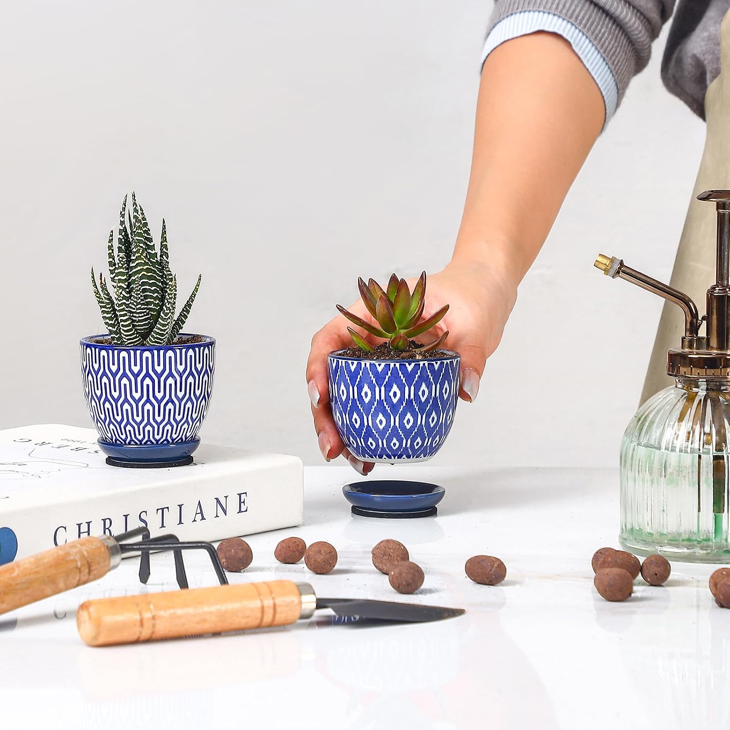 Selamica Ceramic 2.4 Inch Succulent Pots, Mini Succulent Planter Pot for Cactus Plant with Drainage Holes & Saucers