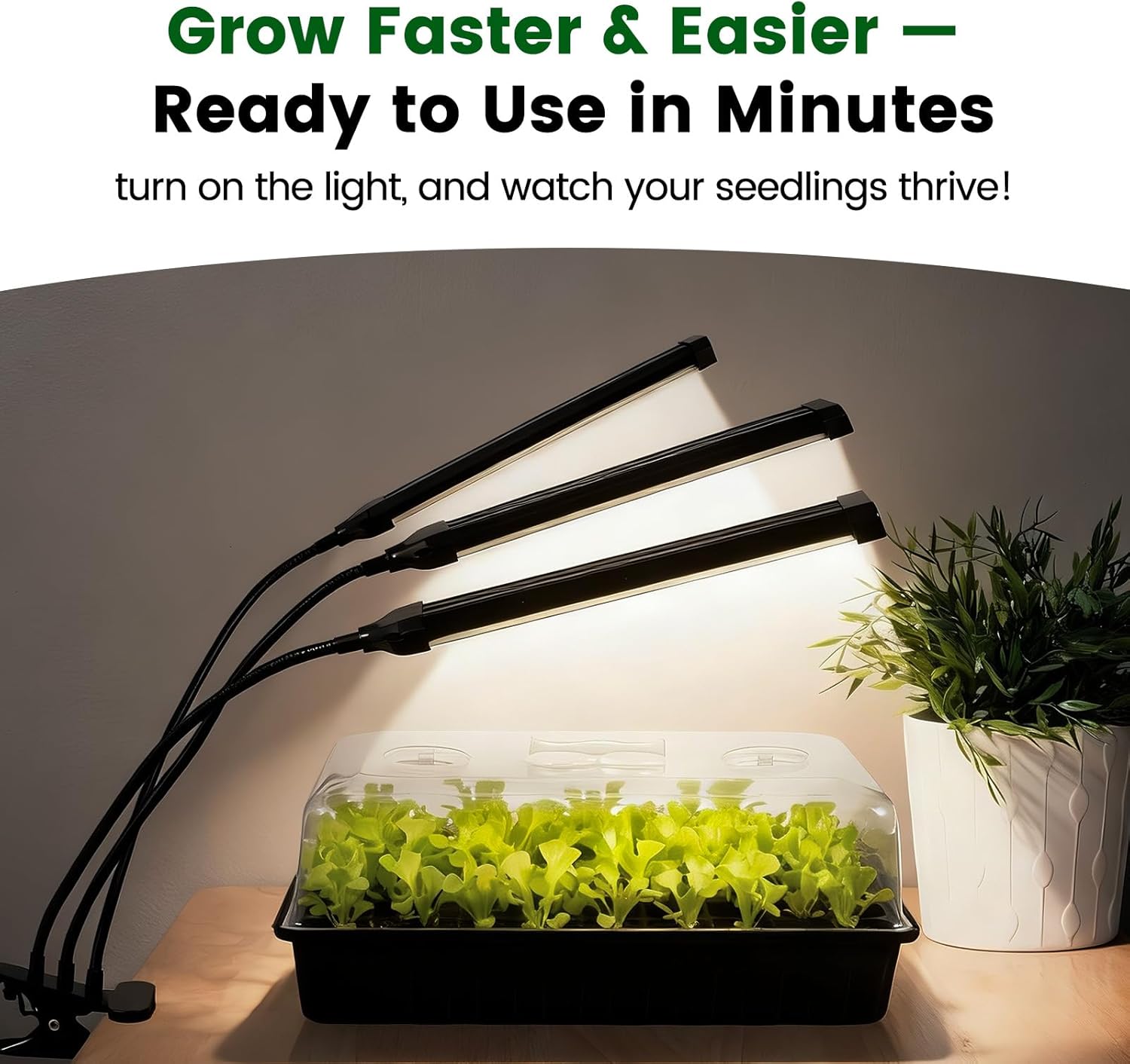 SOLIGT 60 Cell Seed Starter Trays with Grow Light | Seed Starter Kit with 4.3“ Higher Humidity Domes, Full Spectrum
