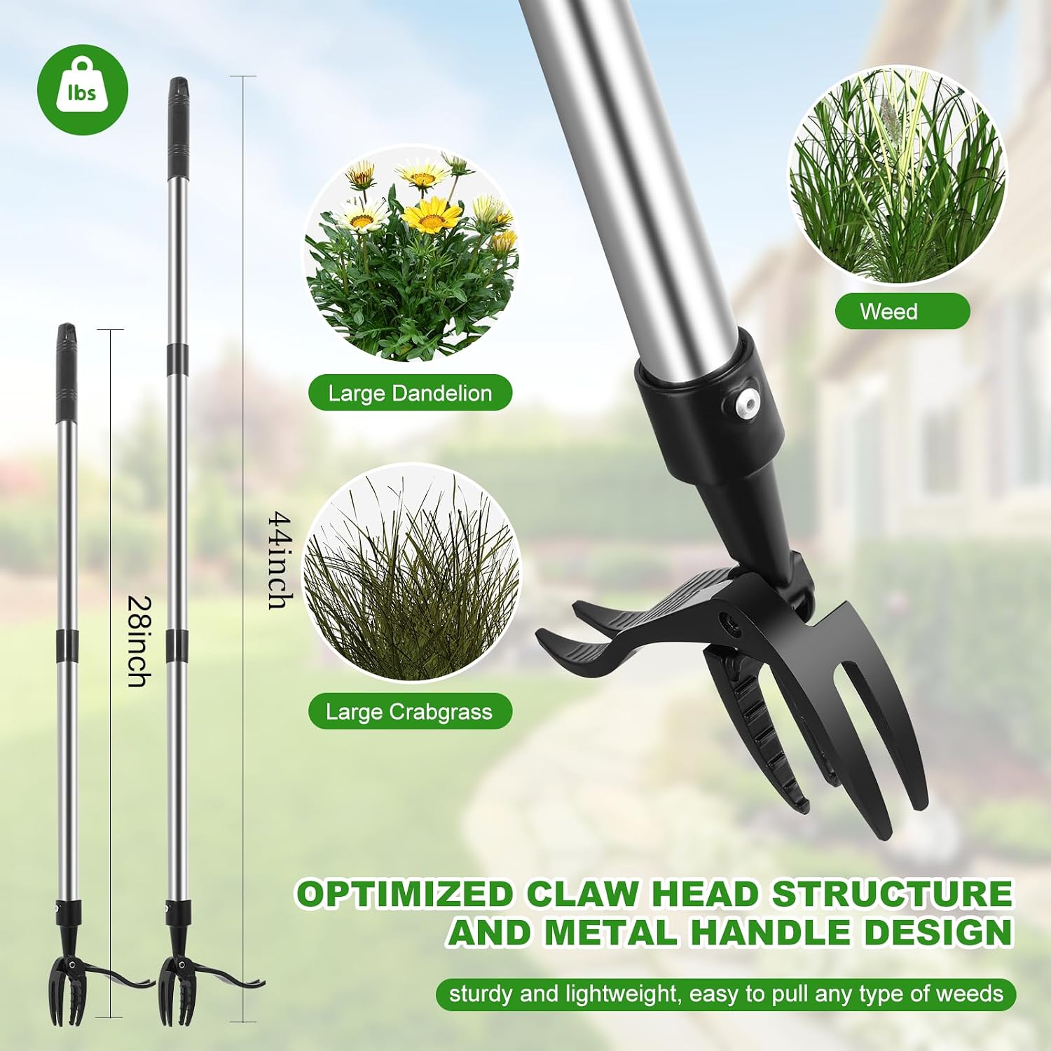 Weed Puller Tool, Lightweight, 4-Claw Stand Up Weeder Tool with Adjustable Handle for Remove Weeds Without Bending or