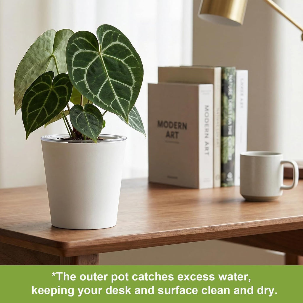 6 inch self Watering Pot with Clear Nursery Pot Inside,White,6 Pack | dual-pot systerm with wick,Root