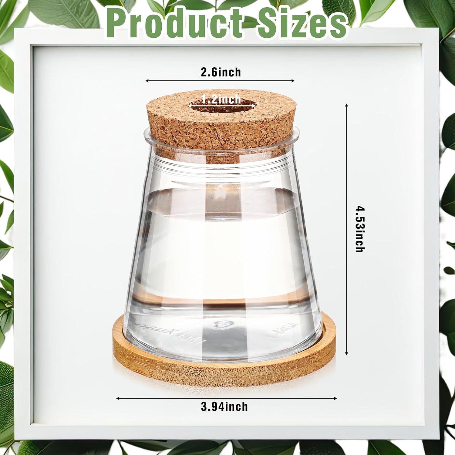 12 Packs Propagation Vases for Plants Plastic Plant Propagation with Hole Lid and Bamboo Stand Growing in Water
