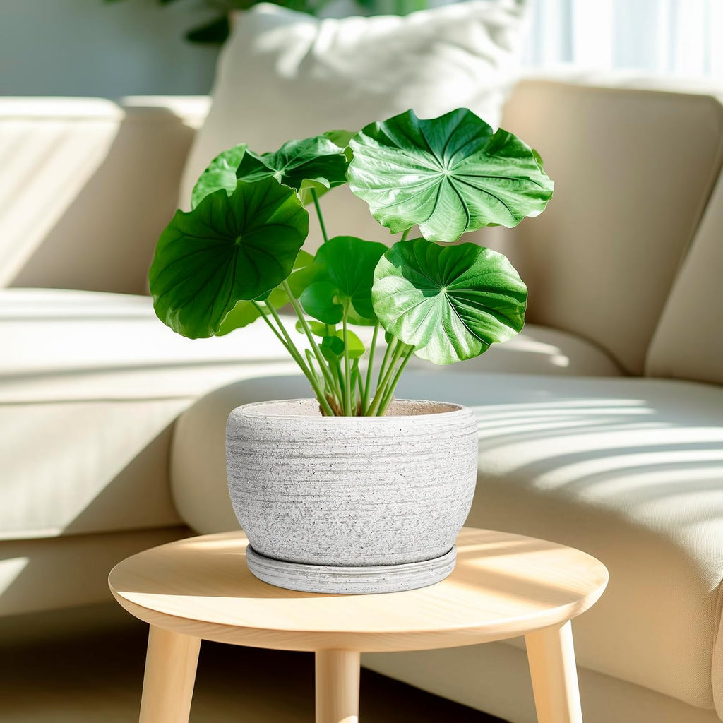 SQOWL Ceramic Plant Pots - 8 inch Planter for Indoor Plants, Round Flower Pot with Drainage Hole and Plant Saucer