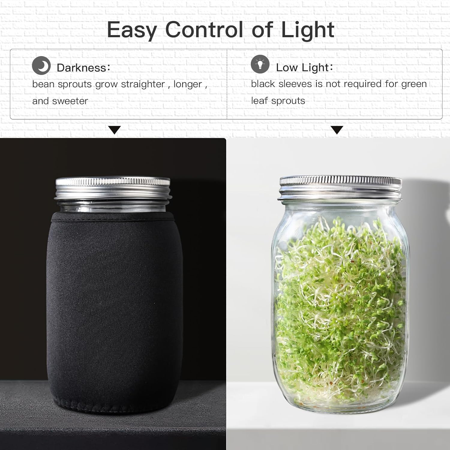 Seed Sprouting Jar Kit - 2 Wide Mouth Mason Jars with 316 Stainless Steel Sprouting Lids Covers, Drip Tray and Stand