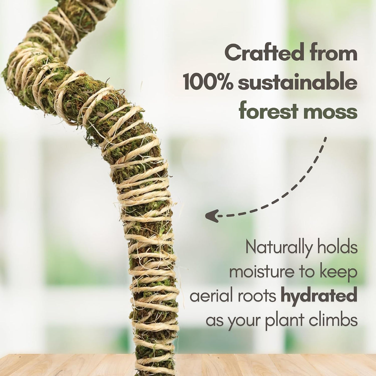 Bendable Moss Pole, 3 Pack, 16/30/42 in | Stackable & Shapeable Support for Climbing Monstera, Pothos & Philodendron