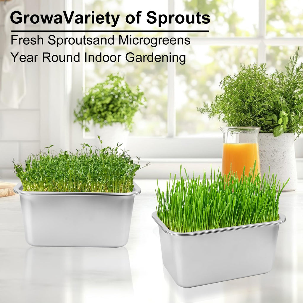 2 Set (4 Pack) Stainless Steel Sprouting Tray, 13 x 9 inches Stainless Steel Germination Trays for Indoor Microgreens
