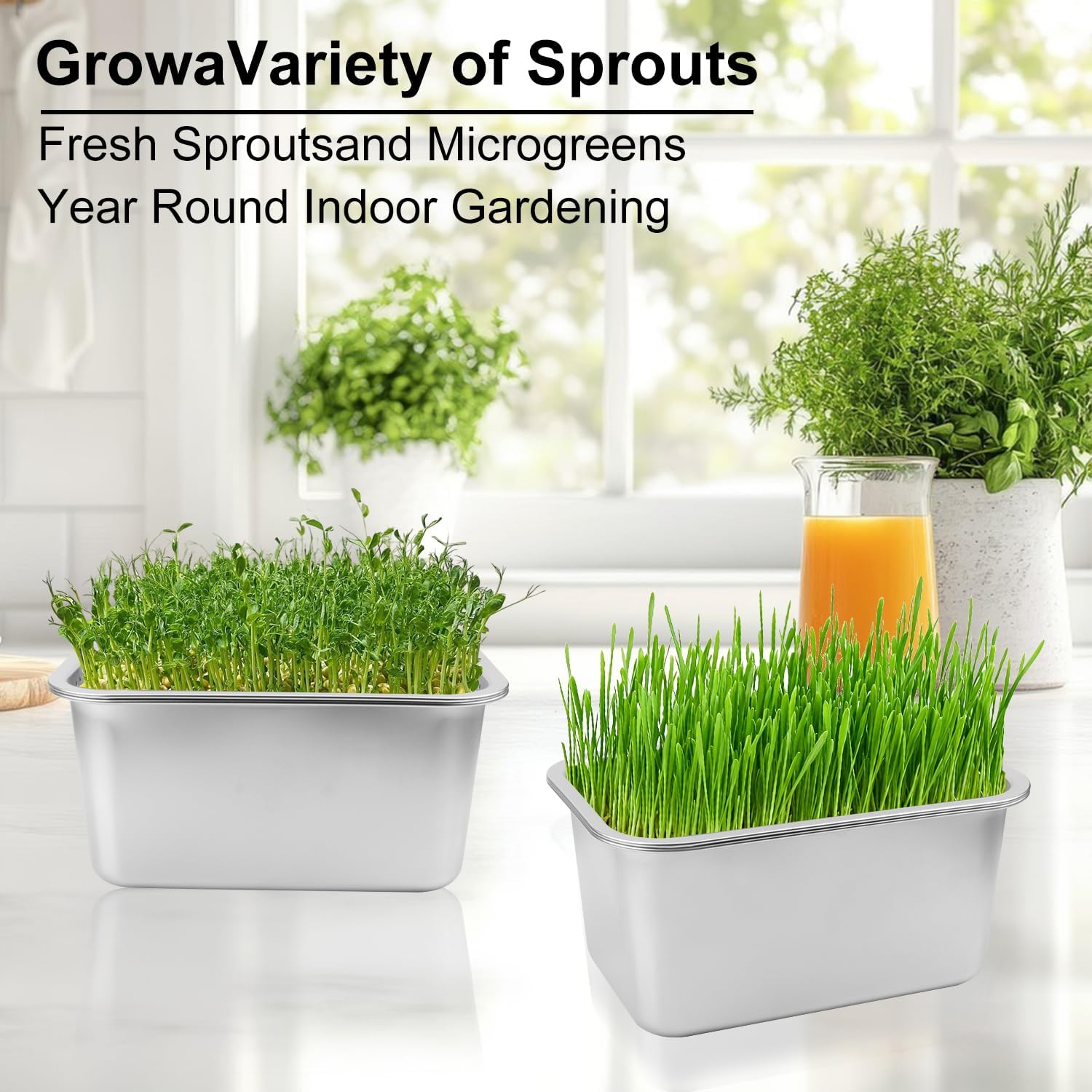 2 Set (4 Pack) Stainless Steel Sprouting Tray, 13 x 9 inches Stainless Steel Germination Trays for Indoor Microgreens