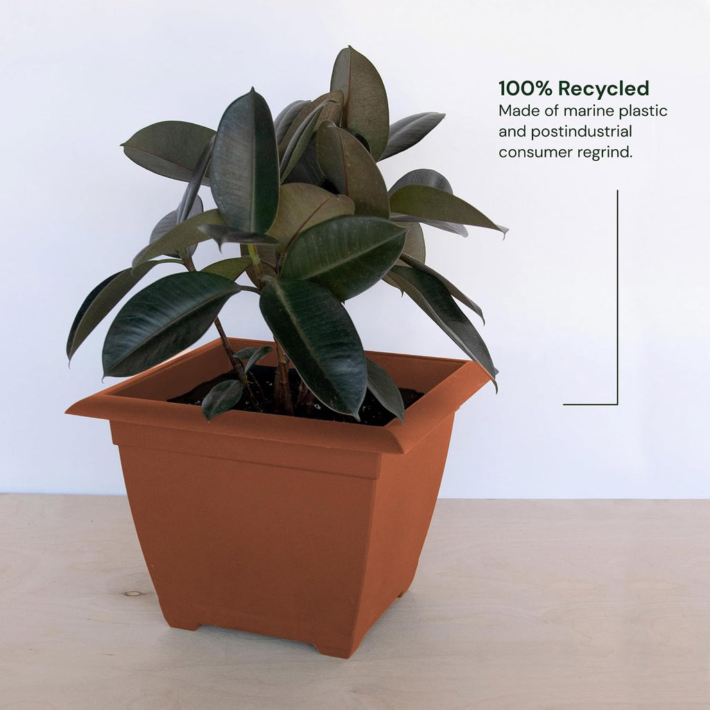 Bloem: Dayton Square Deck Planter: 15" - Terra Cotta - 4.5 Gal Capacity, 100% Recycled Durable Plastic, Elevated Feet