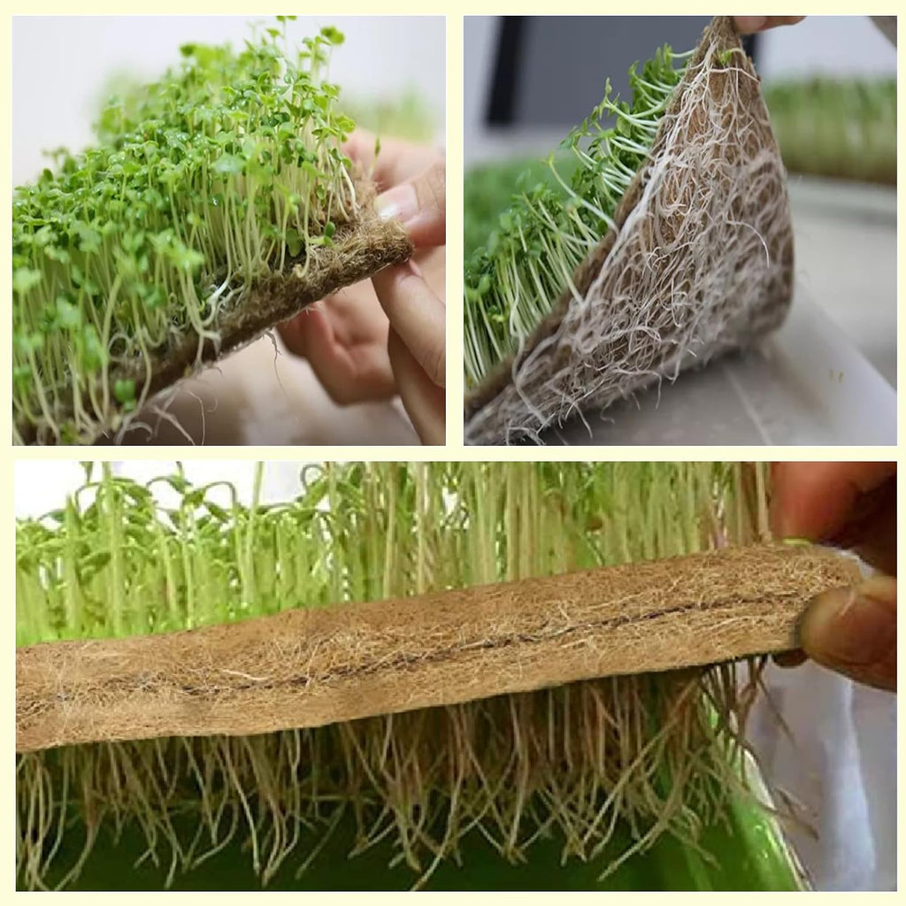 Vexillum 2Pcs Jute Microgreen Growing Mat Roll (5" x 197") | Natural Grow Pad for Microgreens, Seed Sprouting &