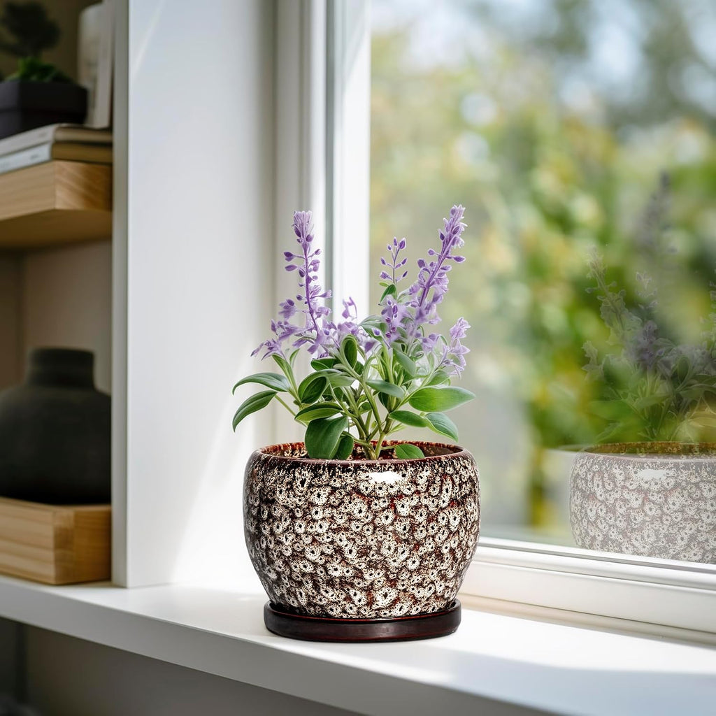 SQOWL Ceramic Plant Pots - 6 Inch Ceramic Planter for Indoor Outdoor, Small Flower Pots with Drainage Hole and Saucer