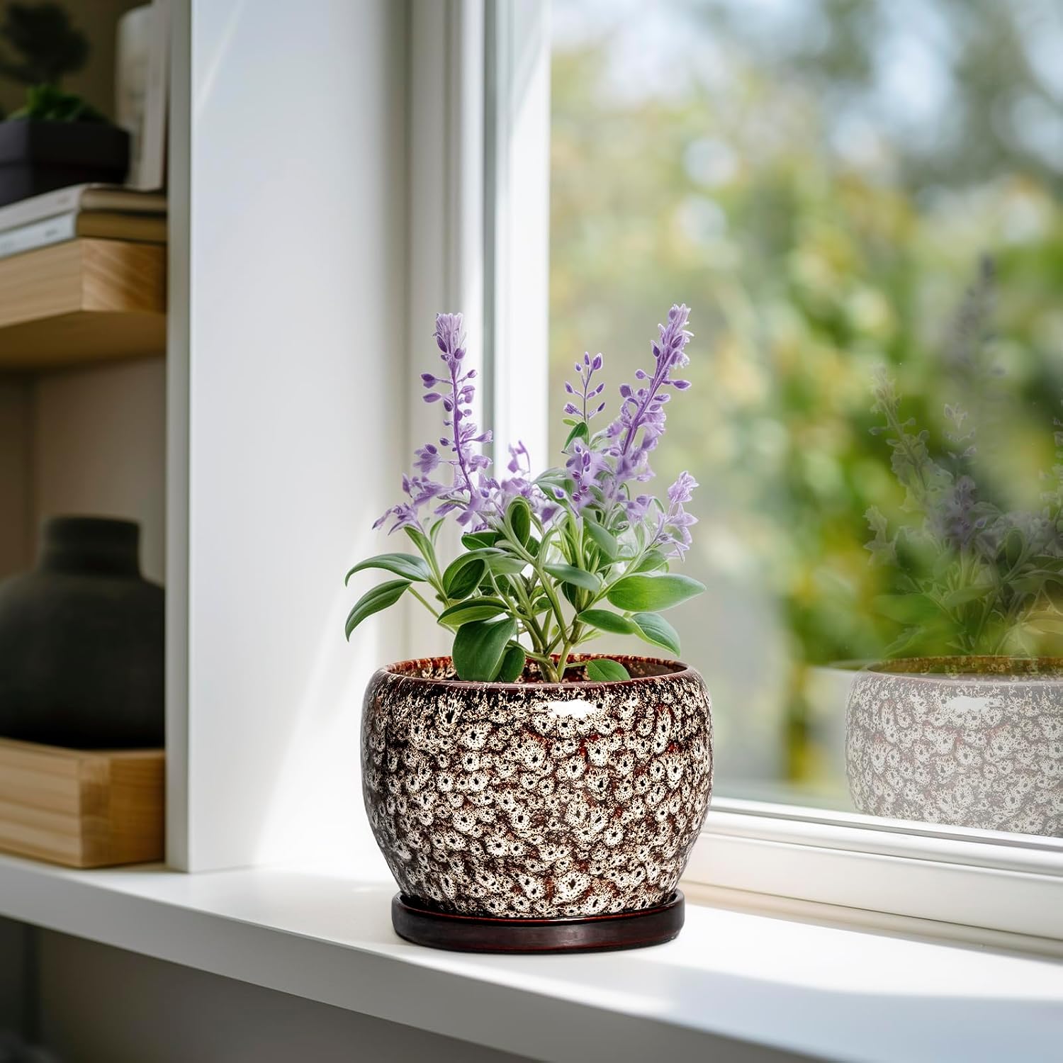 SQOWL Ceramic Plant Pots - 6 Inch Ceramic Planter for Indoor Outdoor, Small Flower Pots with Drainage Hole and Saucer