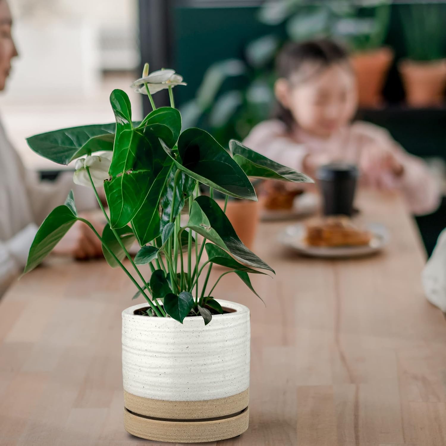 HERDUK 6 Inch Plant Pots, Ceramic Planter Pot with Drainage Hole & Saucer, Indoor/Outdoor Cylinder Round Planter Pot