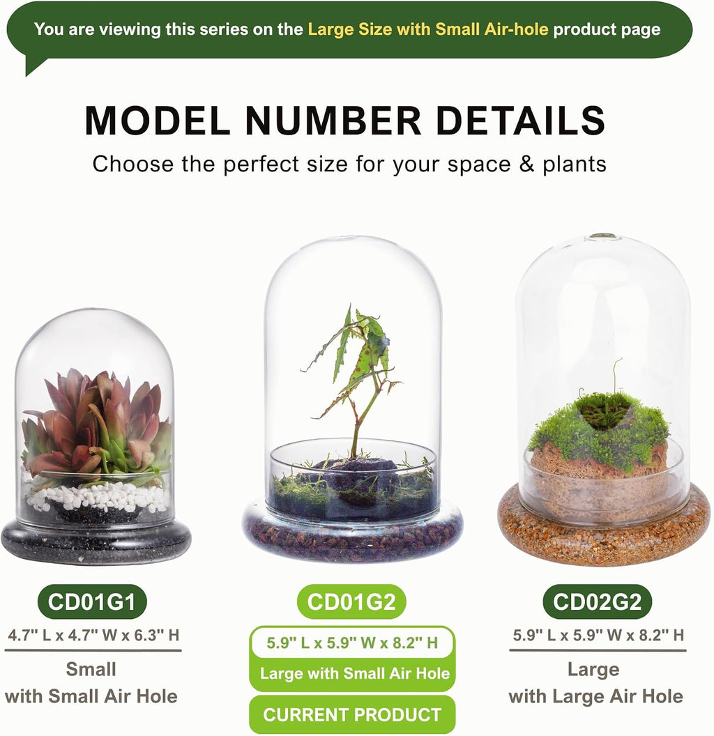 NCYP Glass Cloche Dome with Air Hole and Base, 5.9 x 5.9 x 8.2 Inches, Clear Terrarium Planter for Venus Flytrap, Small