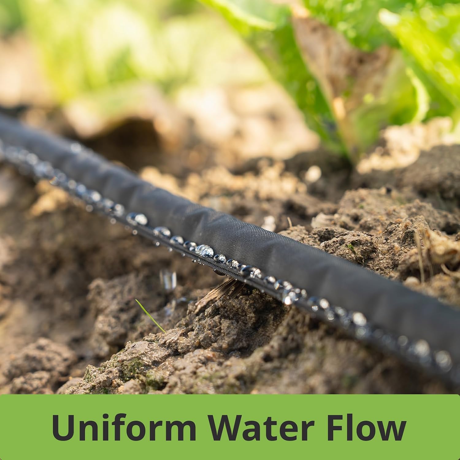 Flat Soaker Hose 75 ft Save 70% Water, Leakproof Design Double Layer Sprinkler Hose Drip Hose for Garden Bed | Drip
