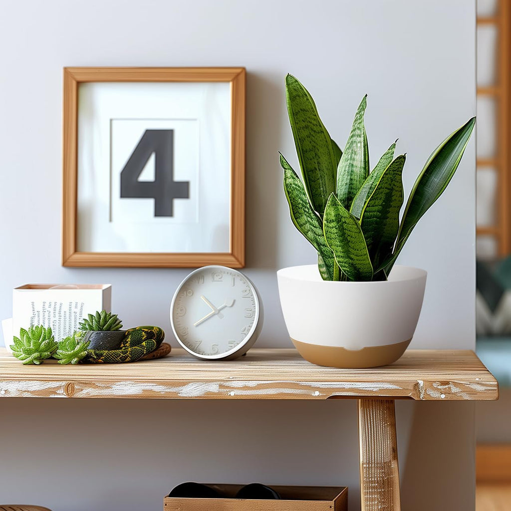 Koalaime 8/10/12 Inch Pots for Indoor Plants, Large Self Watering Planters with Drainage and Saucers, Plastic Outdoor
