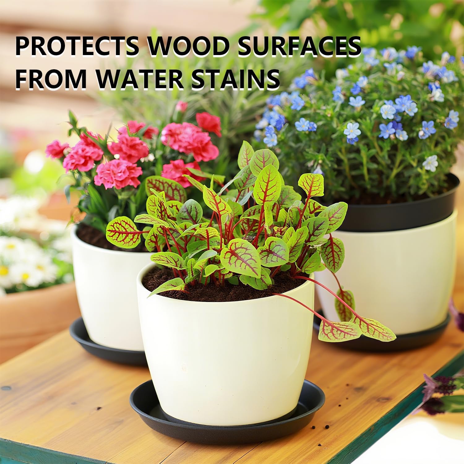 9 Pack Black Plant Pot Saucers, 8 10 12 Inch Heavy Duty PP Trays | Plant Watering Trays for Indoor & Outdoor Flower Pots