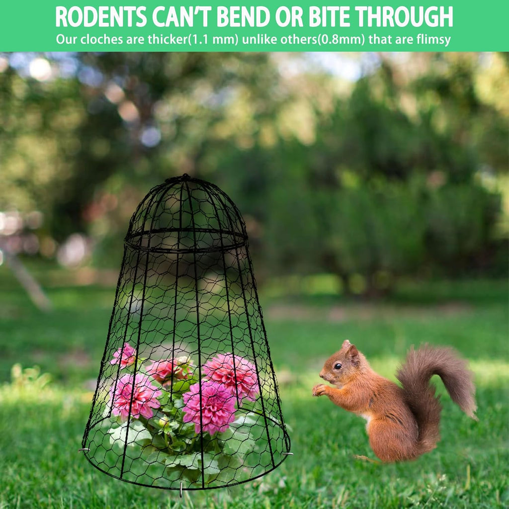 Garden Cloches for Plants Extra Large Sapbontchi Garden Cloche Chicken Wire Cloche for Plants Cages Cover Plant