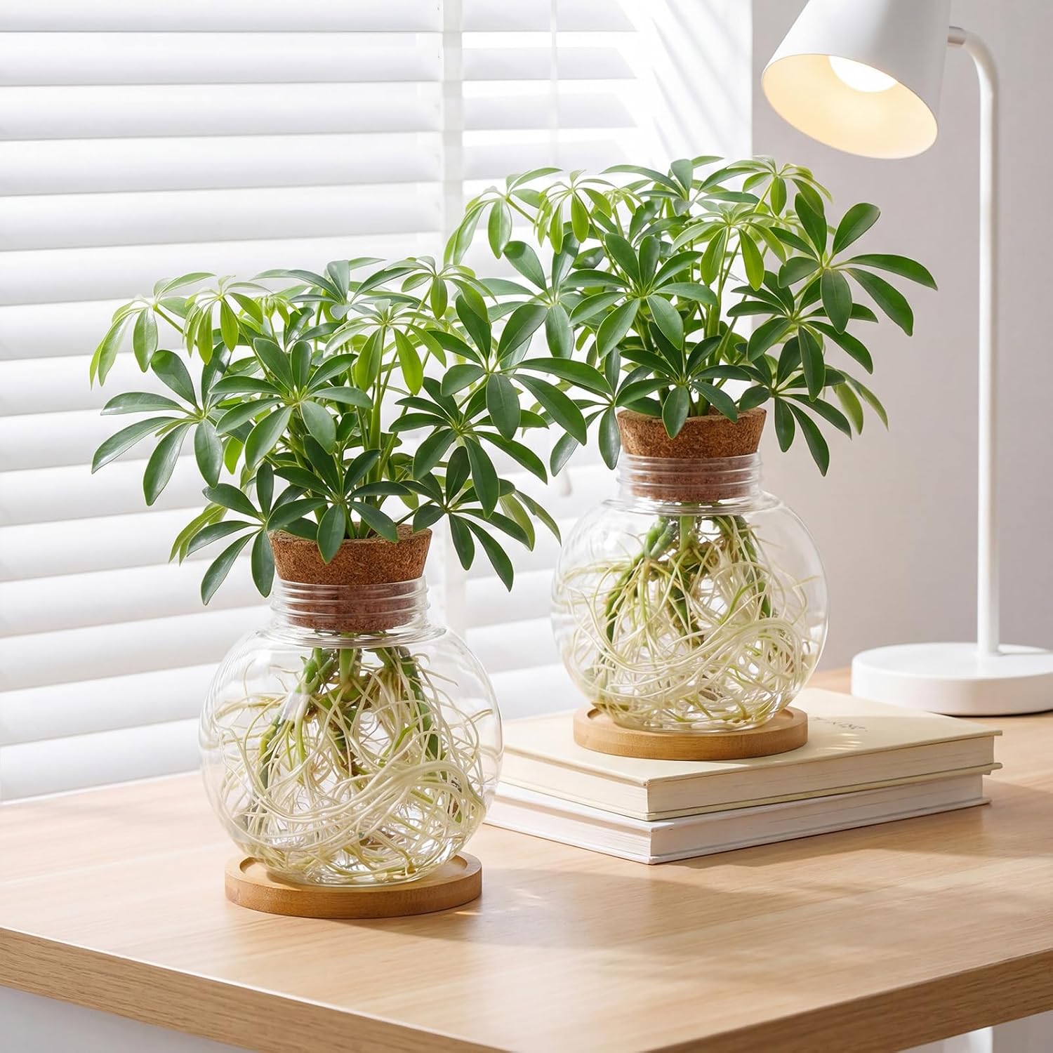 Ripeng 6 Pack Propagation Vases for Plants Plastic Large Plant Propagation Station with Hole Lid and Cork Coasters