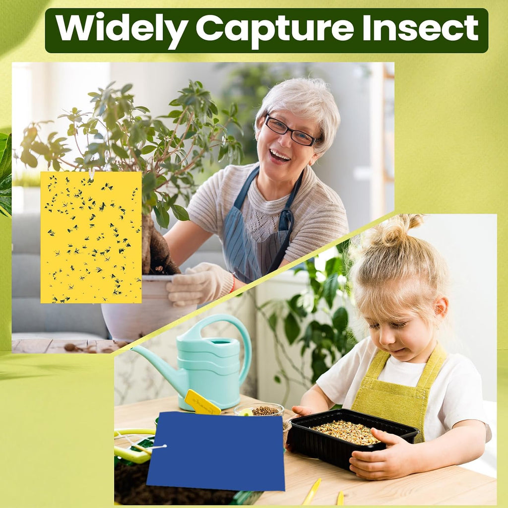 Qualirey 100 Pcs Yellow,Blue,Green Sticky Traps 6x8in for Gnats Indoor | Dual-sided for Fungus Gnats Fruit Flies