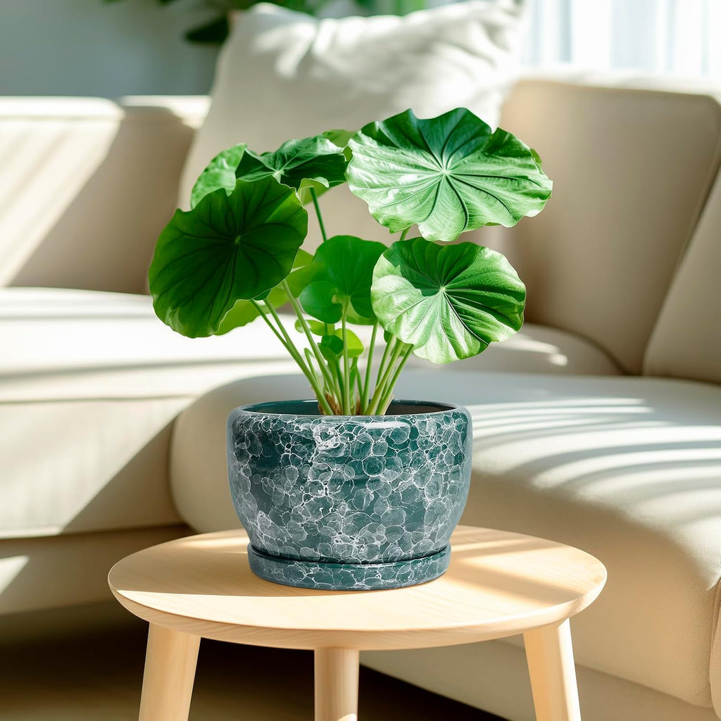 SQOWL 8 Inch Plant Pot - Ceramic Planter for Indoor Plants, Decorative Flower Pot with Drainage Hole and Saucer, Round